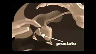 सुंदर Alina प्रेमी गीला बिल्ली अश्लील में गड़बड़
